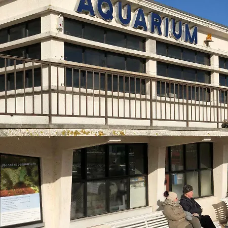 Apartment Harbour/beach Ostende